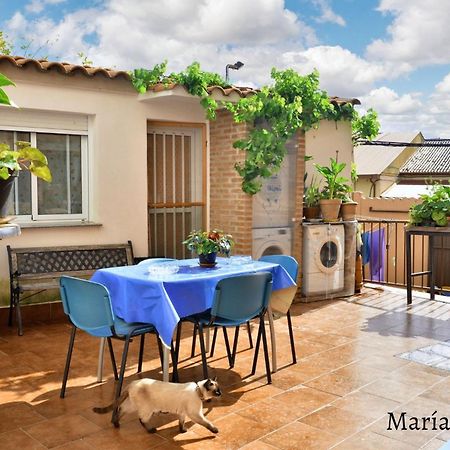 Comfortable Apartment In Caceres 55 M² Welcoming Terrace Εξωτερικό φωτογραφία
