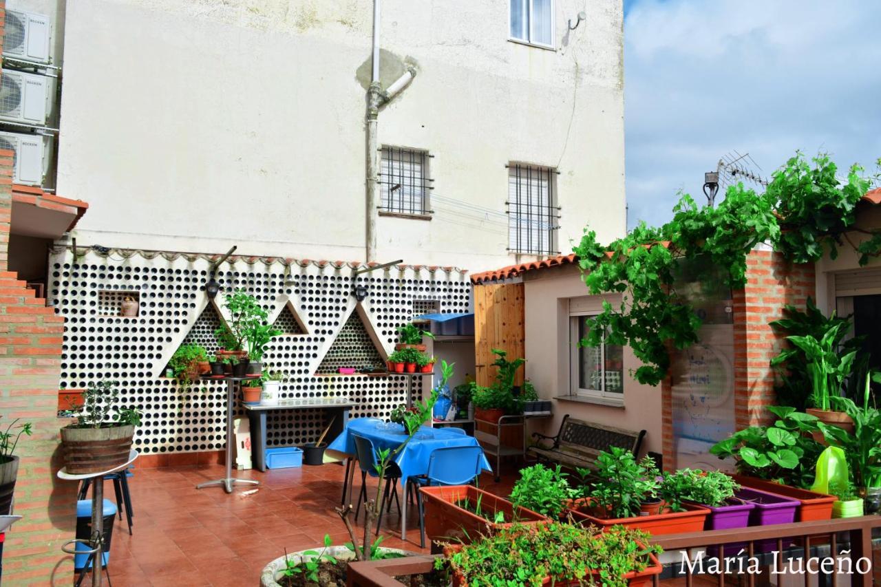 Comfortable Apartment In Caceres 55 M² Welcoming Terrace Εξωτερικό φωτογραφία