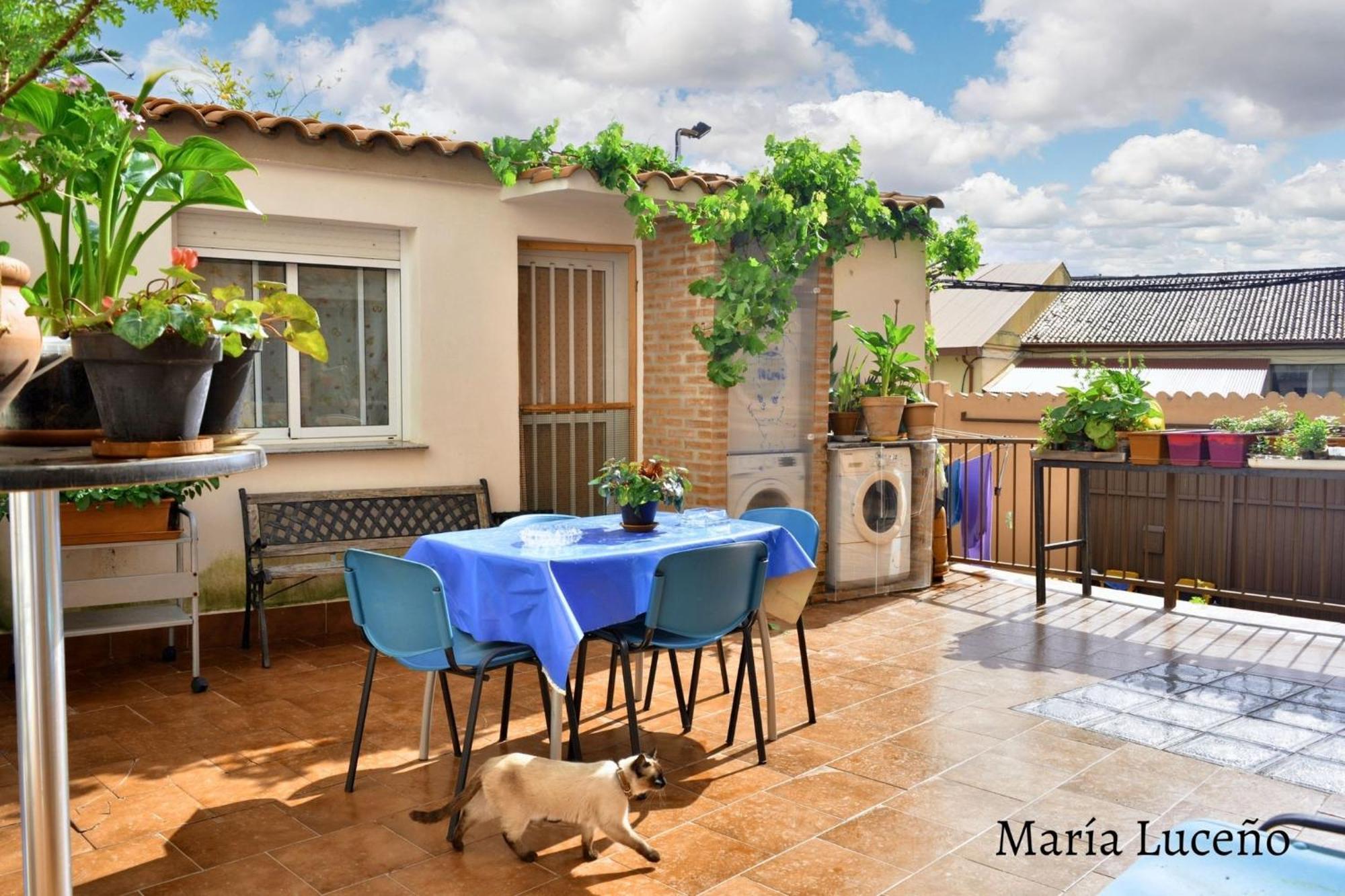 Comfortable Apartment In Caceres 55 M² Welcoming Terrace Εξωτερικό φωτογραφία